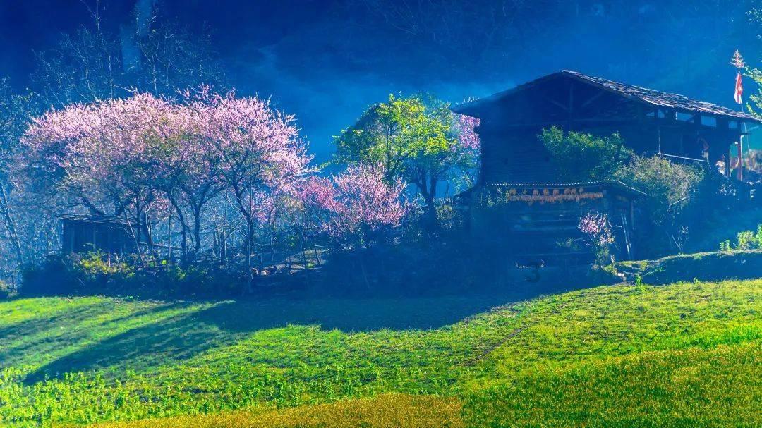部落住宅逃生