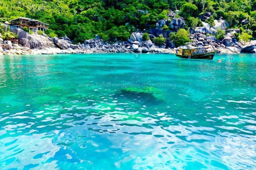“海岸卫士”红树林在厦门筑起生态屏障